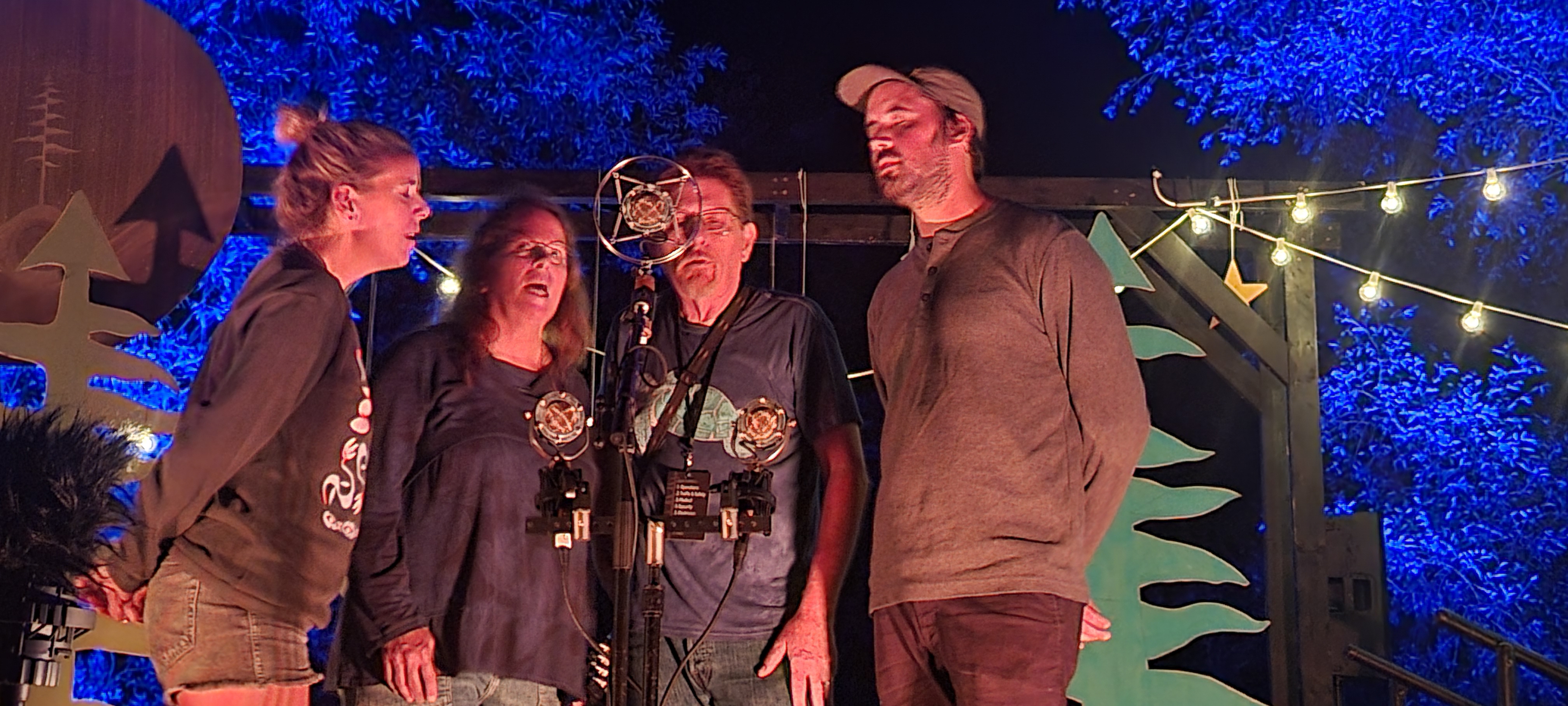 TimOBrien2024-08-18LamplighterSetGreenMountainBluegrassAndRootsFestivalManchesterVT (3).jpg